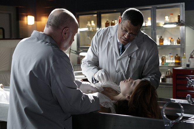 CSI: Crime Scene Investigation - Season 9 - Miscarriage of Justice - Photos - Robert David Hall, Laurence Fishburne
