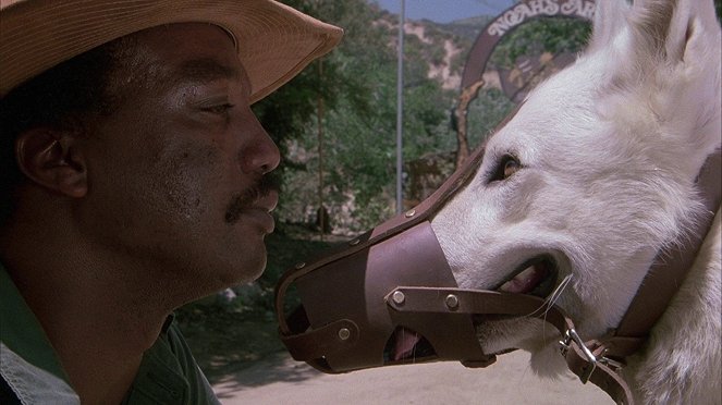 O Cão Branco - Do filme - Paul Winfield
