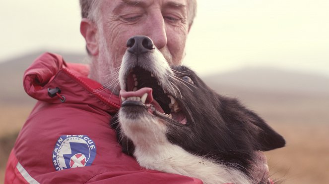 Secret Life of Dogs - Filmfotók