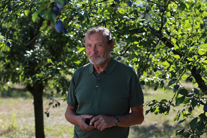 Boží dar - příběhy českých potravin - Slivovice - Kuvat elokuvasta