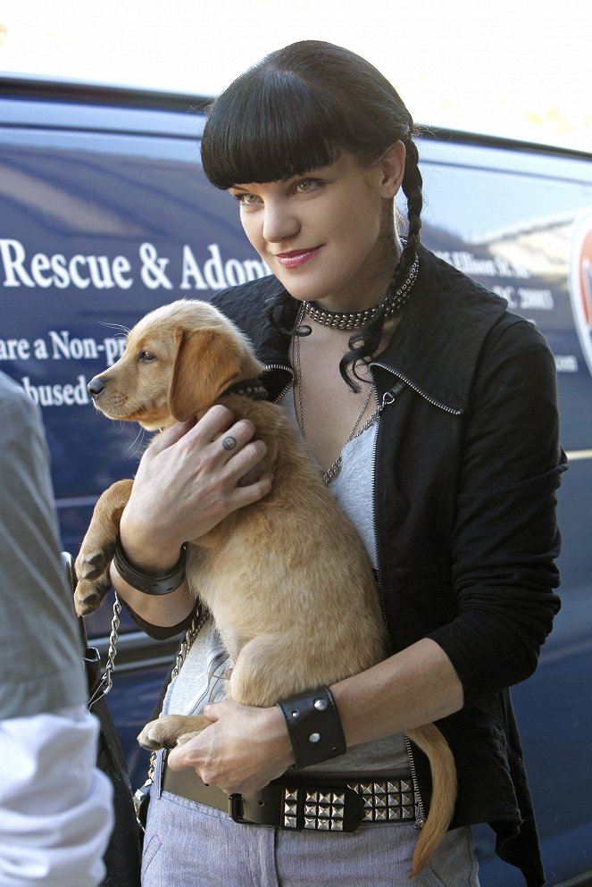 NCIS: Naval Criminal Investigative Service - Enemy on the Hill - Van film - Pauley Perrette