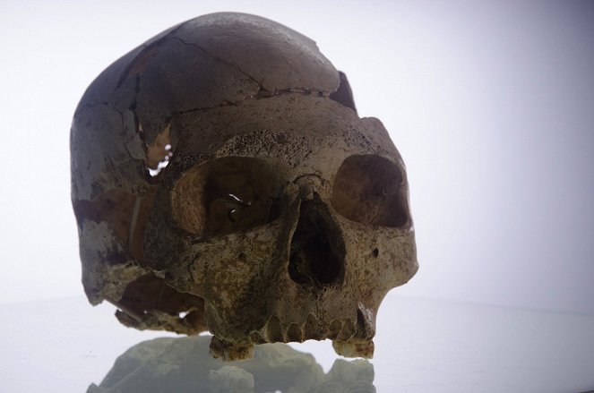 Quand Homo sapiens peupla la planète - Europe, la rencontre avec Neandertal - Film