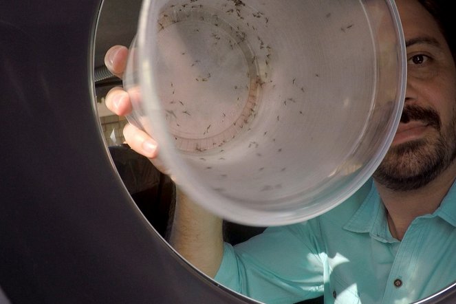 Zika, enquête sur une épidémie - Film
