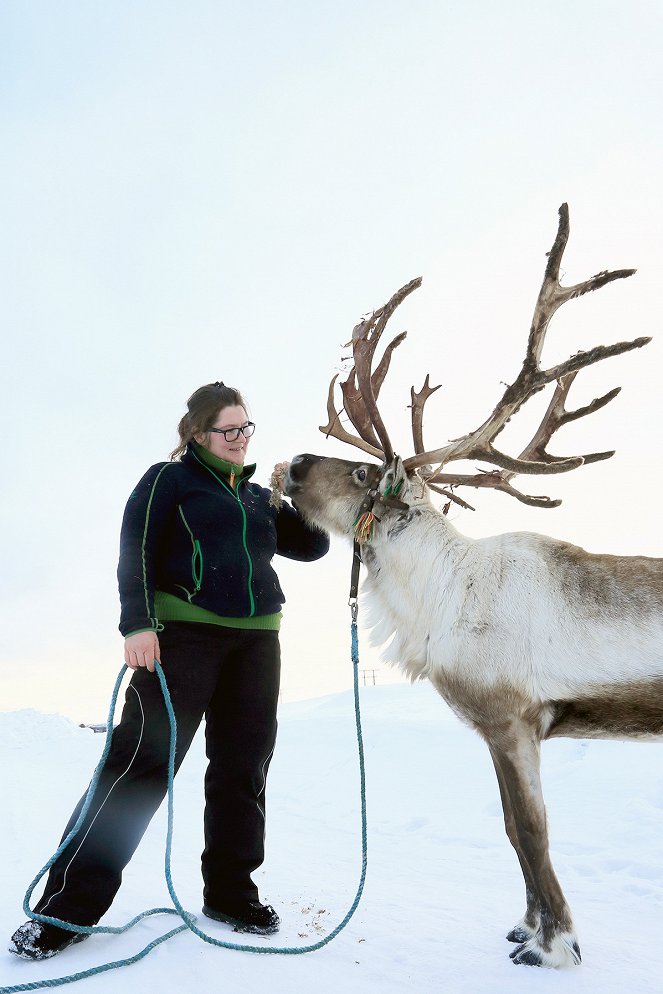 Norwegens schönste Jahreszeit - Der Winter - Filmfotos