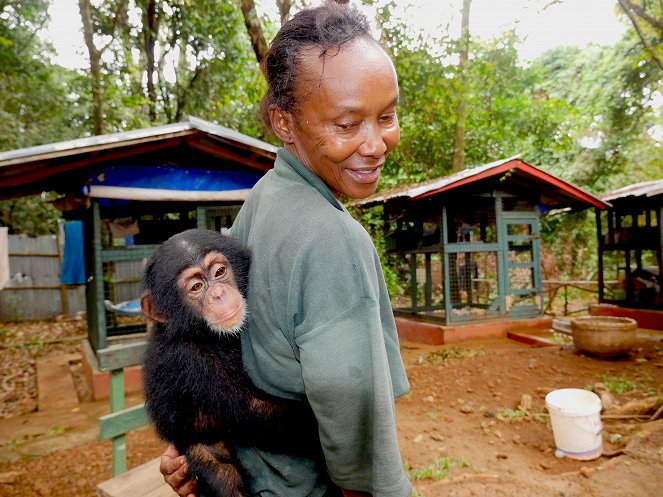 Csimpánziskola - Filmfotók