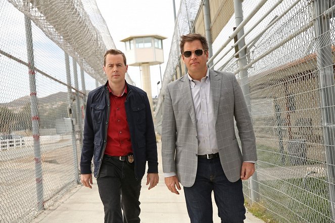 NCIS: Naval Criminal Investigative Service - Page Not Found - Van film - Sean Murray, Michael Weatherly