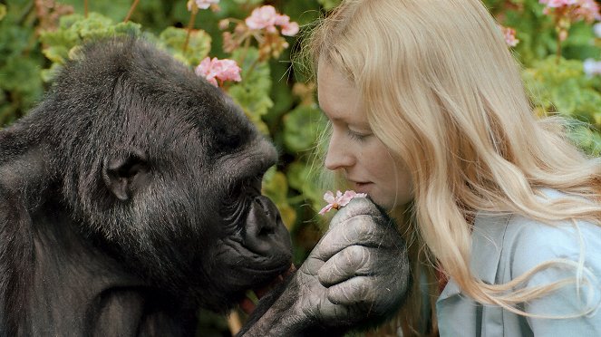 Koko: A Tale of a Talking Gorilla - De la película - Penny Patterson