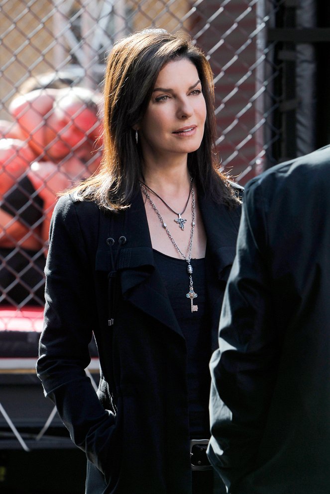 CSI: New York-i helyszínelők - Season 8 - Tiszta lappal - Filmfotók - Sela Ward