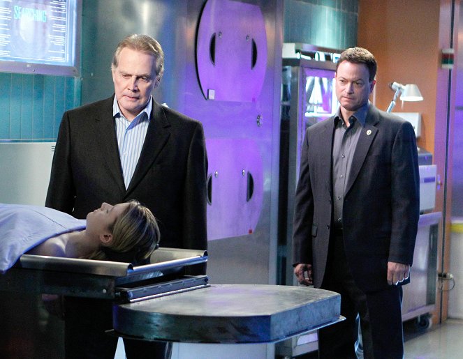 CSI: NY - Season 8 - Flash Pop - Photos - Lee Majors, Gary Sinise