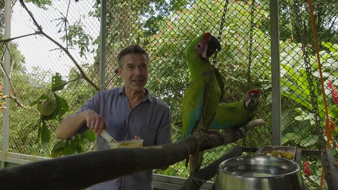 Terra X: Faszination Erde - mit Dirk Steffens: Costa Rica - Wild und weltbewegend - Filmfotos - Dirk Steffens