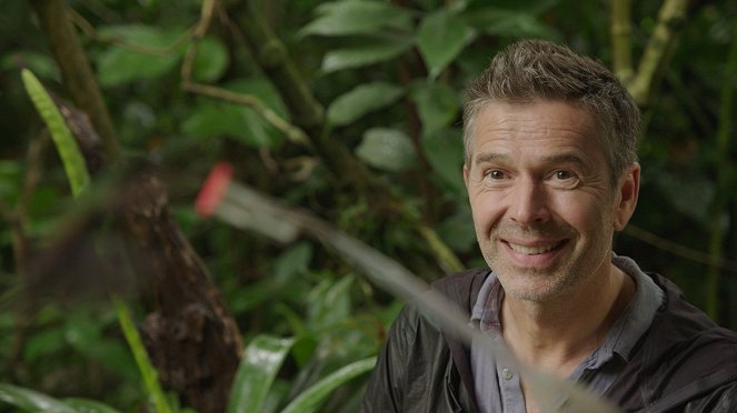 Terra X: Faszination Erde - mit Dirk Steffens: Costa Rica - Wild und weltbewegend - Film - Dirk Steffens