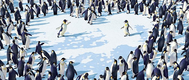 Happy Feet: Tupot małych stóp - Z filmu