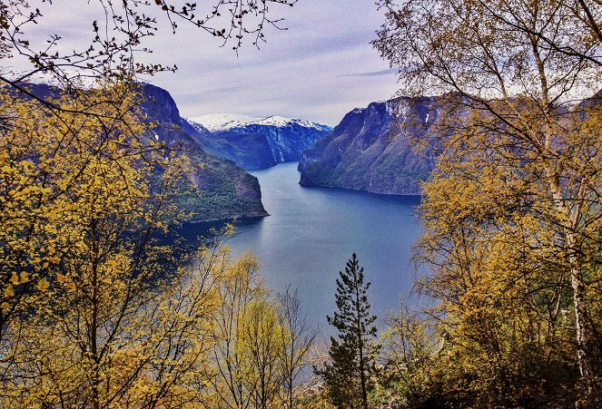 Erlebnis Erde: Magie der Fjorde - Film