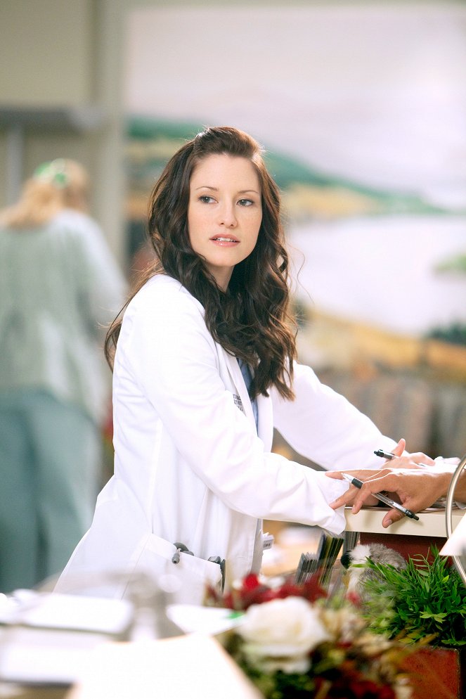 Grey's Anatomy - Die jungen Ärzte - Season 7 - Absturz - Filmfotos - Chyler Leigh