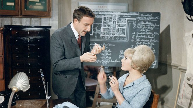 Ein Schuß im Dunkeln - Filmfotos - Peter Sellers, Elke Sommer