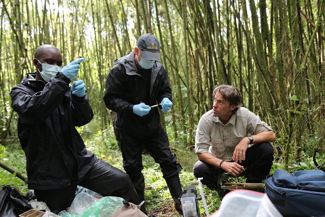 John Bishop's Gorilla Adventure - Photos