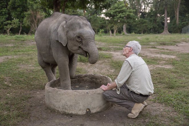 Paul O'Grady: For the Love of Animals - Filmfotos