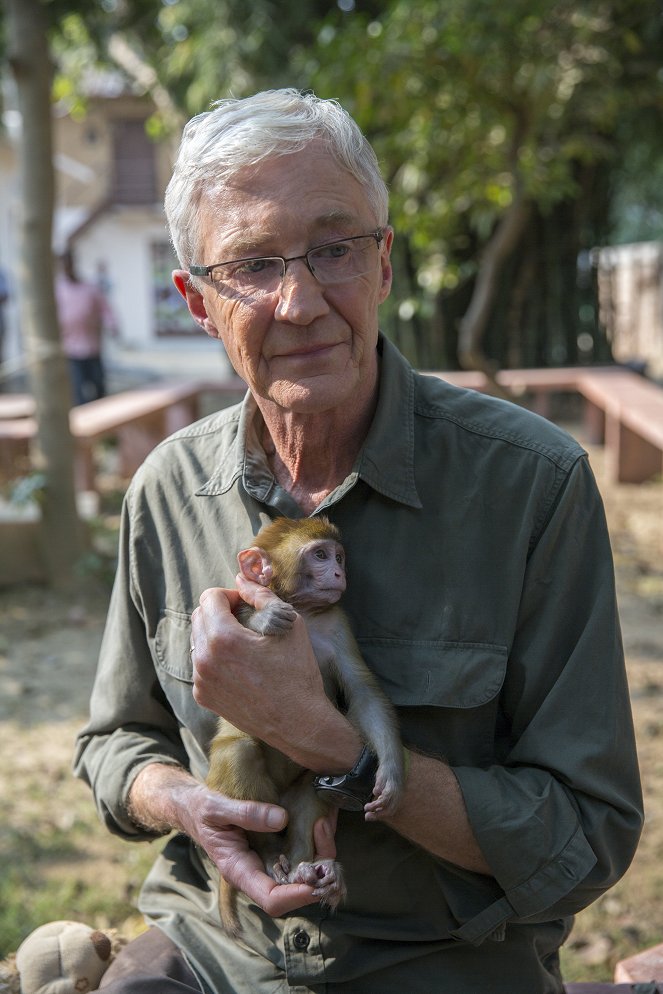 Paul O'Grady - rakkaudesta eläimiin - Kuvat elokuvasta