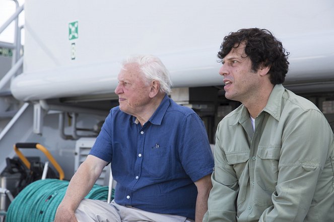 Attenborough at 90: Behind the Lens - De la película - David Attenborough