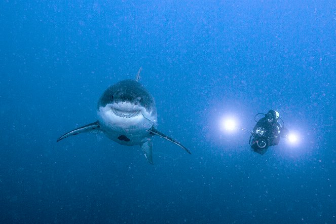 Shark - Kuvat elokuvasta