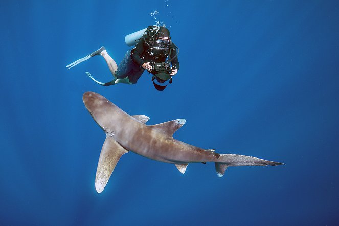 Shark - Kuvat elokuvasta