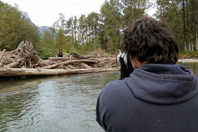 Aventures en terre animale - Le Grizzli du Canada - Kuvat elokuvasta