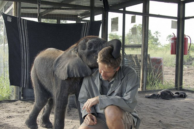 Naledi: A Baby Elephant's Tale - De la película