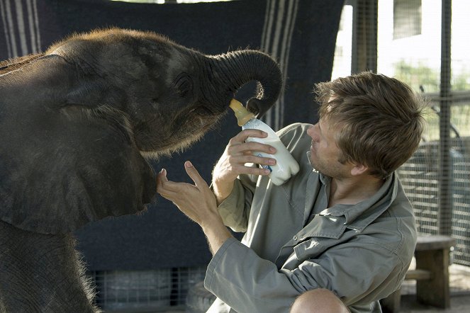 Naledi: A Baby Elephant's Tale - Photos