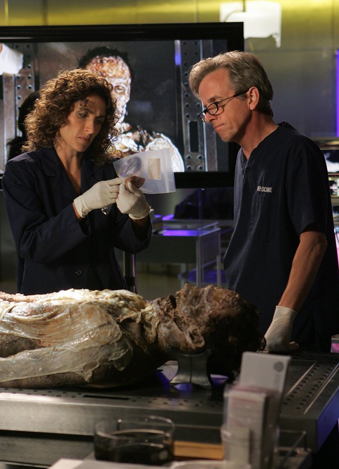 CSI: NY - Season 4 - The Deep - Photos - Melina Kanakaredes, Robert Joy