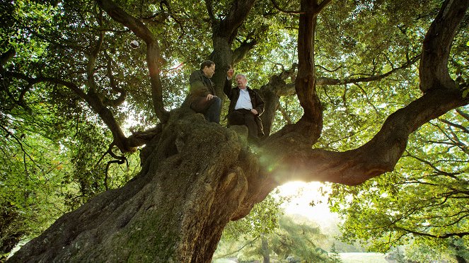 Tree of the Year with Ardal O'Hanlon - Filmfotos
