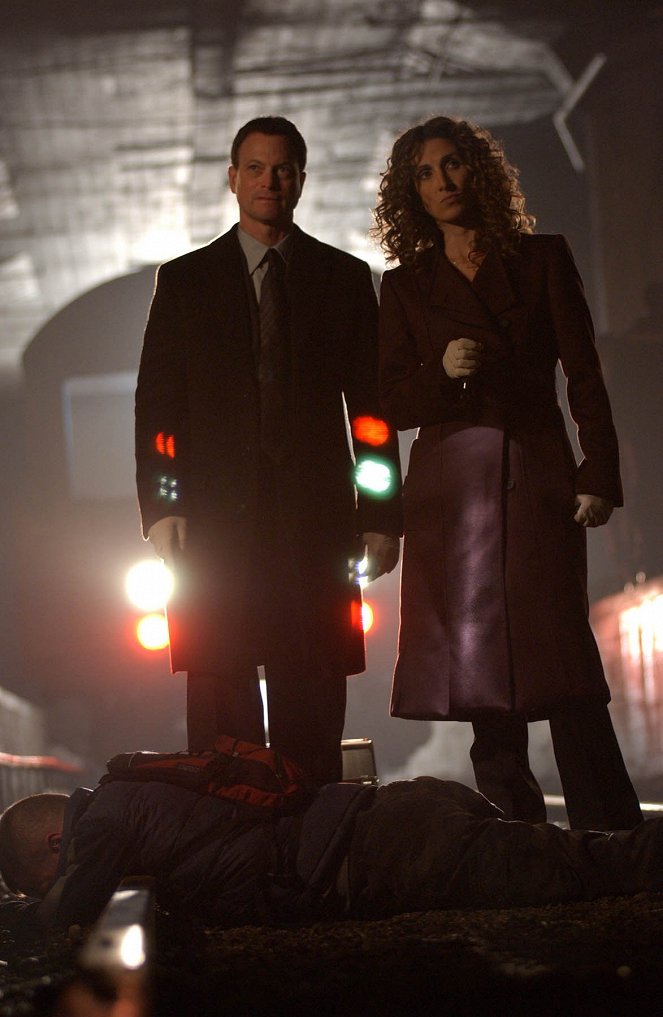 CSI: Kryminalne zagadki Nowego Jorku - Trzy sprawy - Z filmu - Gary Sinise, Melina Kanakaredes