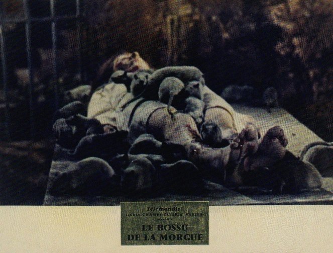 El jorobado de la morgue - Vitrinfotók