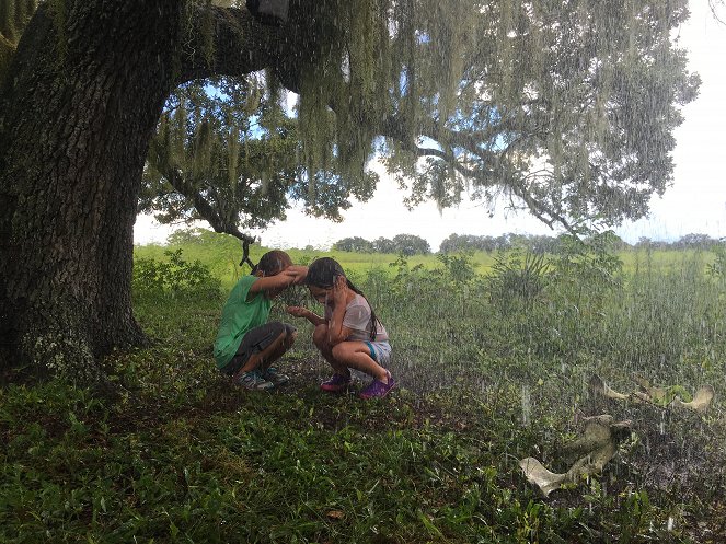 The Florida Project - Photos