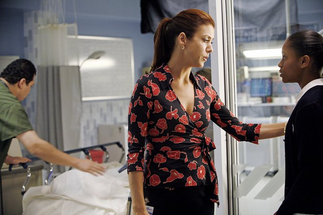 Private Practice - In Which Addison Finds a Showerhead - Do filme - Kate Walsh