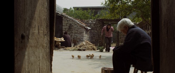 Xi Sang - De la película