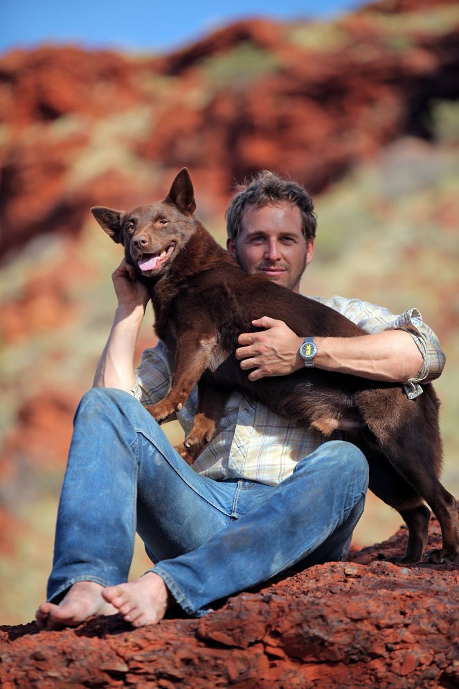 Red Dog: una historia de lealtad - Promoción - Koko, Josh Lucas