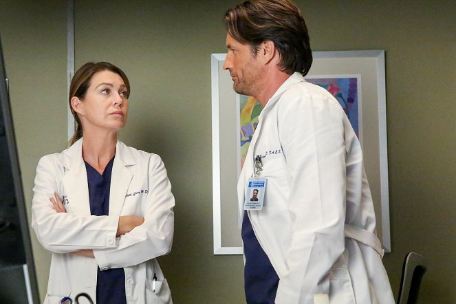 Grey's Anatomy - Die jungen Ärzte - Langsamer Fall - Filmfotos - Ellen Pompeo, Martin Henderson