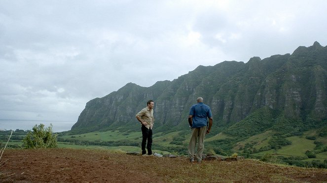 Hawaii Five-0 - 'Ike Hanau - Van film