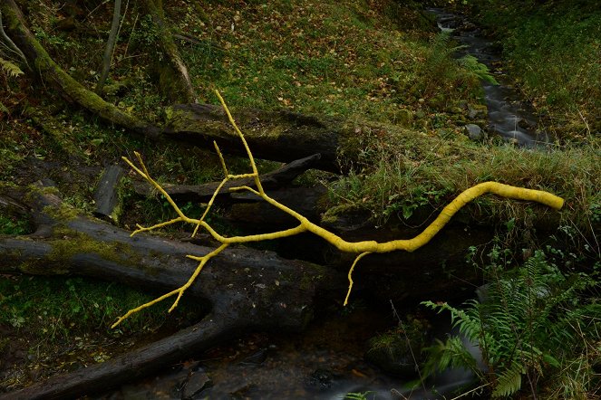 Leaning into the Wind: Andy Goldsworthy - Van film