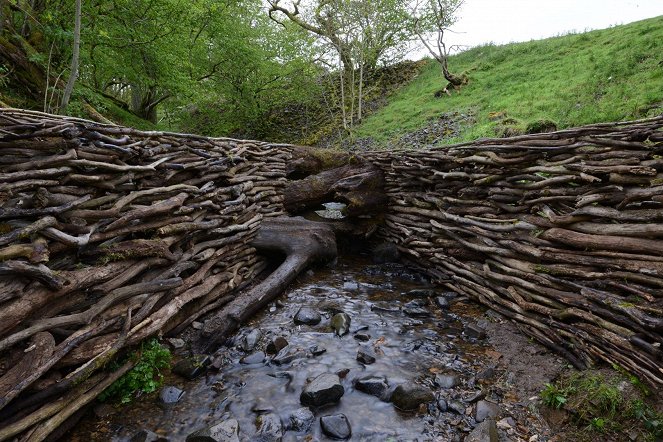 Leaning into the Wind: Andy Goldsworthy - Z filmu