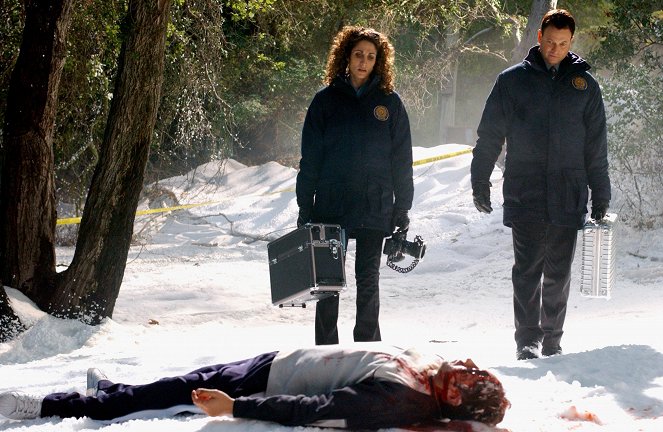 Les Experts : Manhattan - Du sang sur la neige - Film - Melina Kanakaredes, Gary Sinise