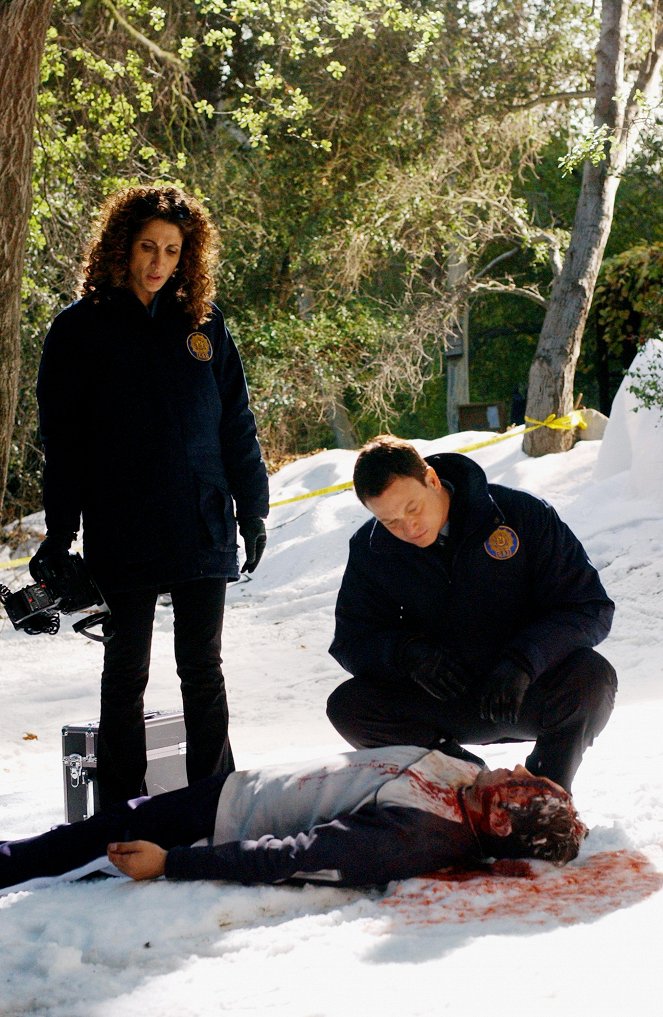 CSI: New York - Season 1 - Schlagkräftig - Filmfotos - Melina Kanakaredes, Gary Sinise