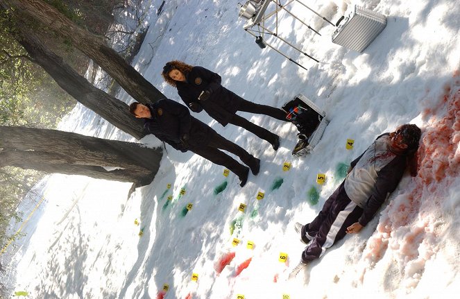 Les Experts : Manhattan - Du sang sur la neige - Film - Gary Sinise, Melina Kanakaredes