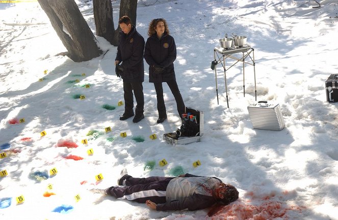 CSI: NY - Season 1 - Tanglewood - Photos - Gary Sinise, Melina Kanakaredes