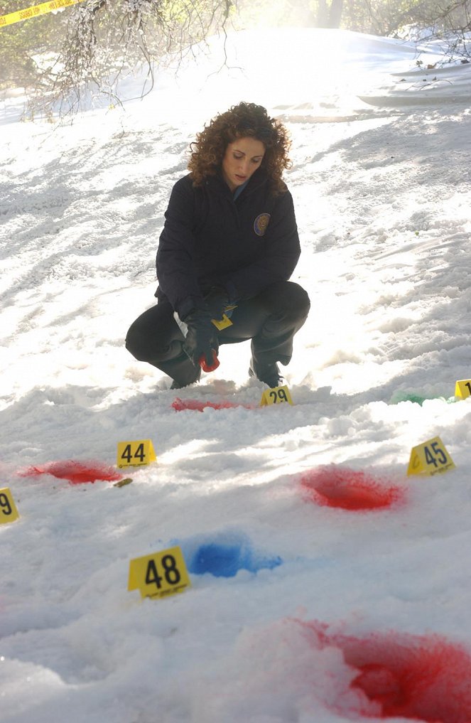 Les Experts : Manhattan - Du sang sur la neige - Film - Melina Kanakaredes