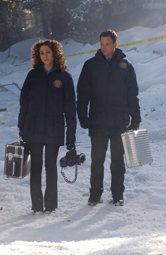 Les Experts : Manhattan - Du sang sur la neige - Film - Melina Kanakaredes, Gary Sinise
