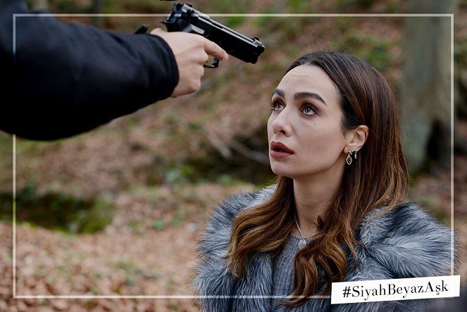 Price of Passion - Lobby Cards - Birce Akalay