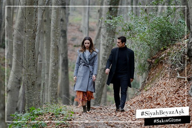 Price of Passion - Lobby Cards - Birce Akalay, İbrahim Çelikkol