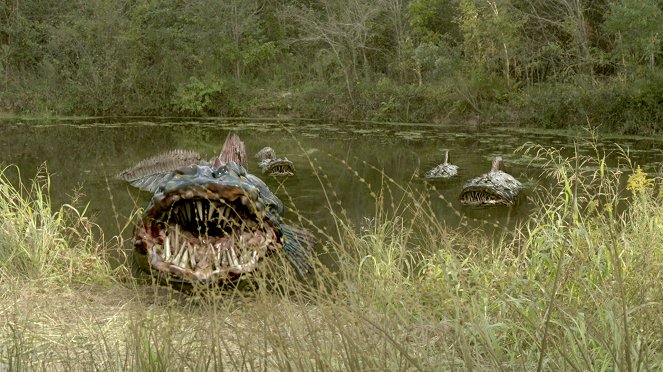 SnakeHead Swamp - Van film