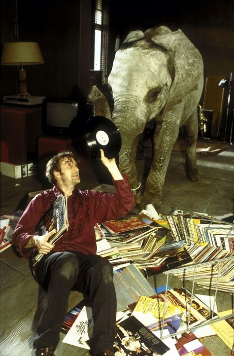 Der Elefant in meinem Bett - De filmes - Peter Lohmeyer